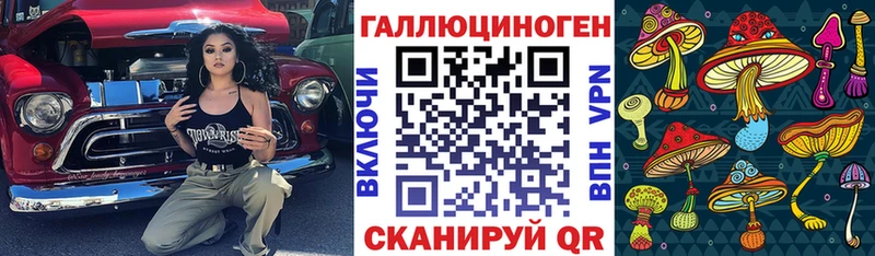 сайты даркнета клад гидра ONION Пущино Галлюциногенные грибы Psilocybe